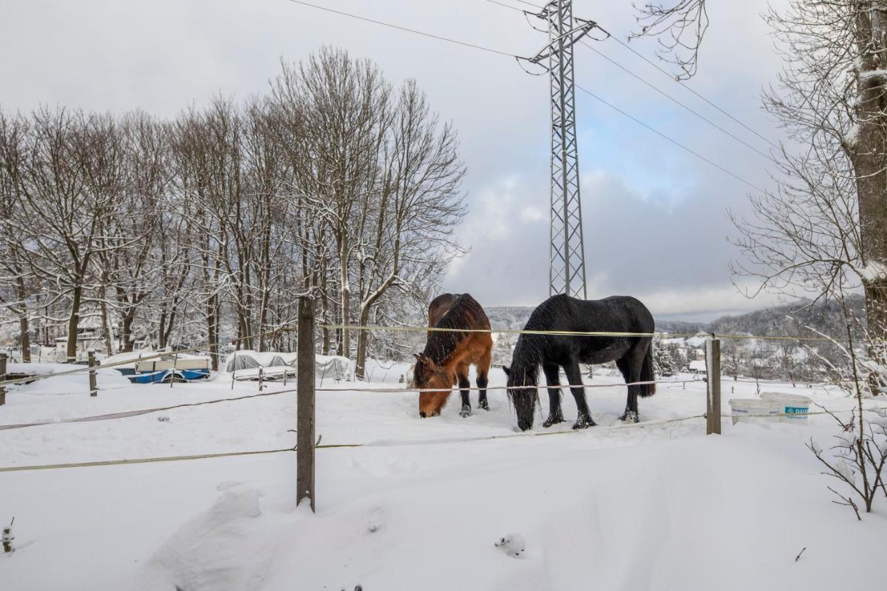 Venkovské apartmány Tiché pastviny Kamenicky Senov Extérieur photo