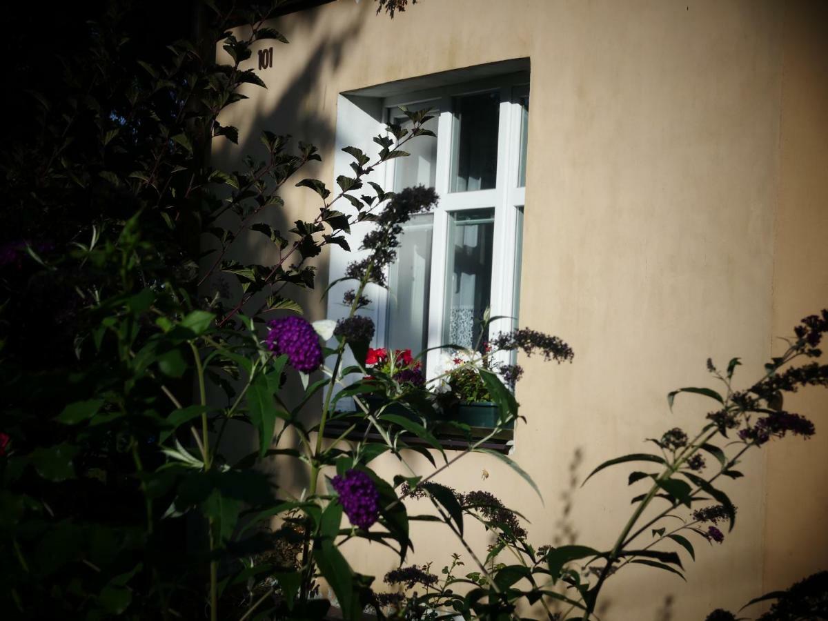 Venkovské apartmány Tiché pastviny Kamenicky Senov Extérieur photo